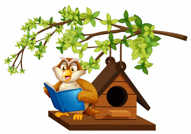 owl-reading-book-by-birdhouse_1308-30546.jpg